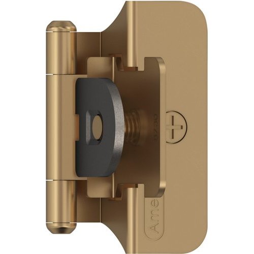 Amerock BPR8701CZ, 1/4 Inch Overlay Self Closing Double Demountable