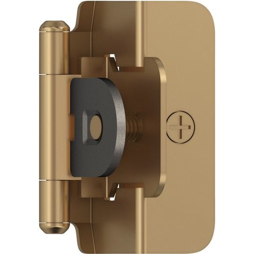 Amerock BPR8704CZ, 1/2 Inch Overlay Self Closing Double